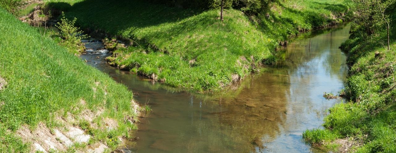 Frequenzweichen: Für einen klaren Klang in Lautsprechern unverzichtbar